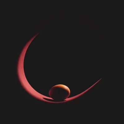 Divine-Shells-robin-guillaume-1