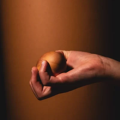 Divine-Shells-robin-guillaume-10