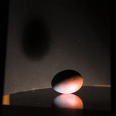 Divine-Shells-robin-guillaume-6