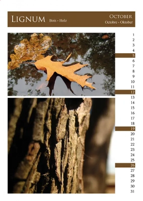 Calendrier Elementa 10