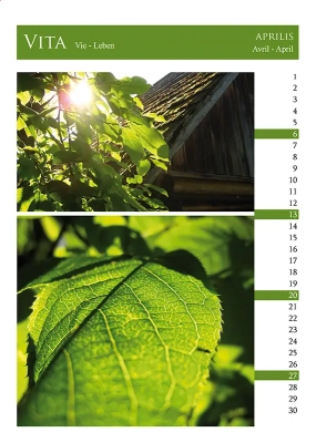 Calendrier Elementa 4