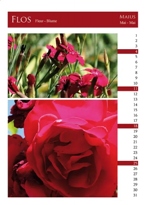 Calendrier Elementa 5