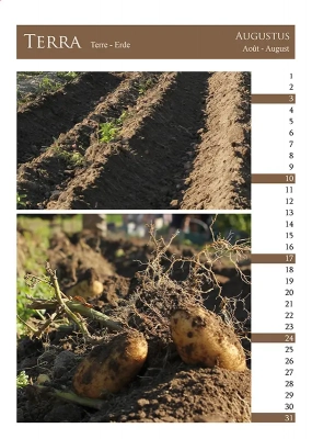 Calendrier Elementa 8