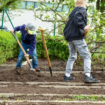 ecole-(19)-guillaume-robin