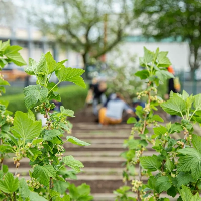 ecole-(20)-guillaume-robin