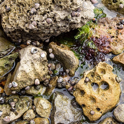 Extraits de couleurs 5