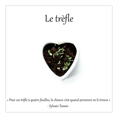Le trèfle 2