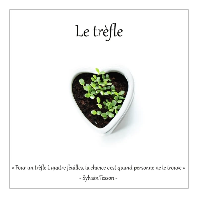 Le trèfle 3