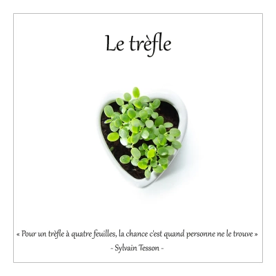 Le trèfle 4